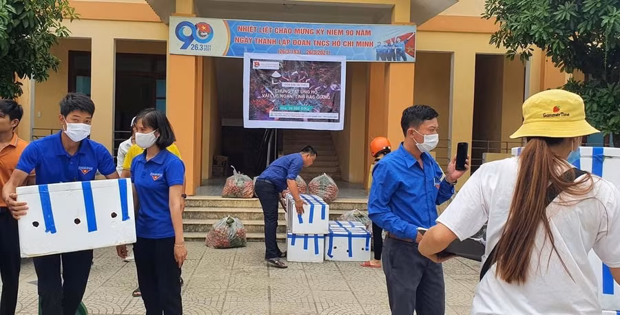 Đoàn viên thanh niên vận chuyển vải thiều đến các điểm bán.