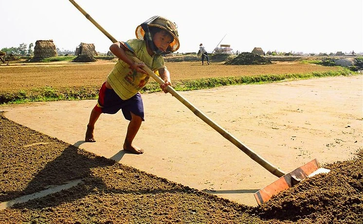 Bộ luật Lao động (sửa đổi) bảo đảm tốt hơn việc xóa bỏ những hình thức lao động trẻ em tồi tệ nhất