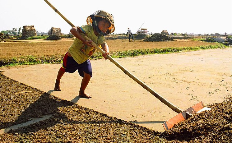 Bộ luật Lao động (sửa đổi) bảo đảm tốt hơn việc xóa bỏ những hình thức lao động trẻ em tồi tệ nhất