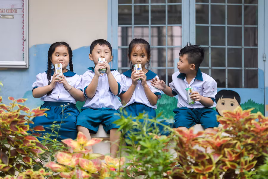 Chương trình Sữa học đường đang phát huy những lợi ích tích cực trong việc chăm sóc dinh dưỡng cho học sinh mầm non và tiểu học tại nhiều tỉnh thành.