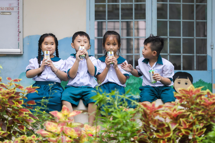 Chương trình Sữa học đường đang phát huy những lợi ích tích cực trong việc chăm sóc dinh dưỡng cho học sinh mầm non và tiểu học tại nhiều tỉnh thành. Chương trình Sữa học đường đang phát huy những lợi ích tích cực trong việc chăm sóc dinh dưỡng cho học sinh mầm non và tiểu học tại nhiều tỉnh thành.