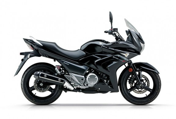 Suzuki bất ngờ ra mắt xe côn tay GW250F ảnh 2 Suzuki bất ngờ ra mắt xe côn tay GW250F ảnh 2
