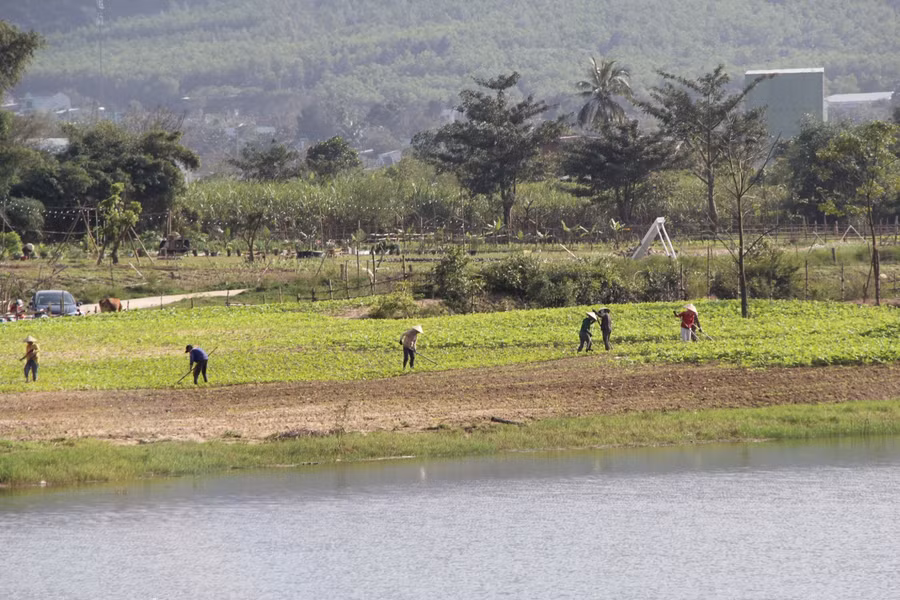 Sở TN&MT Đà Nẵng cảnh báo việc chuyển đổi mục đích đất nông nghiệp trái quy định. 