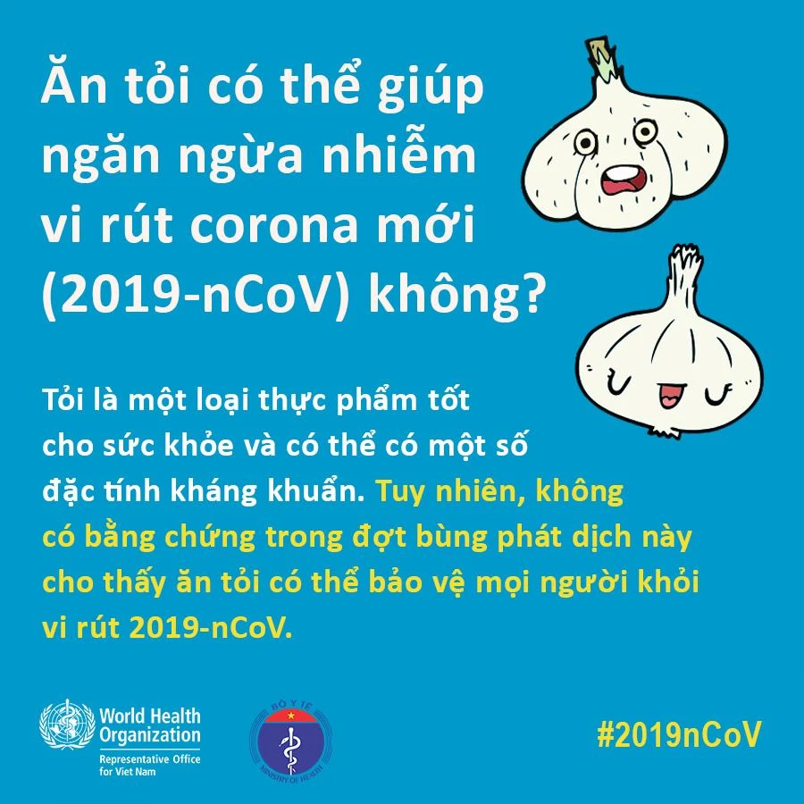 Động vật nuôi trong nhà có lây truyền virus 2019 – nCoV?