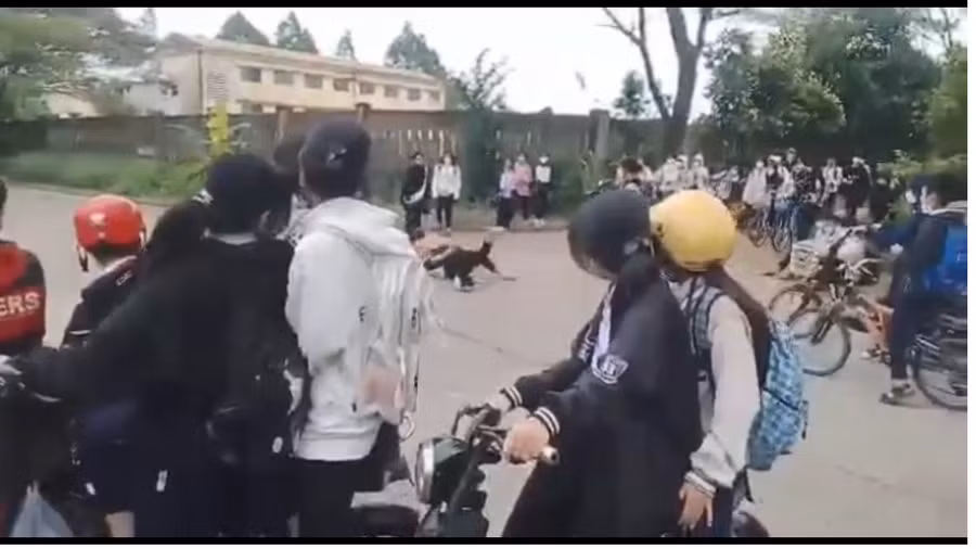 2 học sinh đánh nhau tại đường. Ảnh cắt clip.