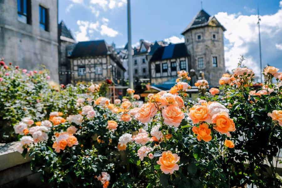 Bà Nà Hills mang lại một diện mạo tươi tắn.