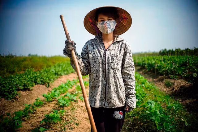 Phụ nữ nông thôn là đối tượng bị ảnh hưởng nhiều nhất bởi stress nhiệt (ảnh nguồn ILO)