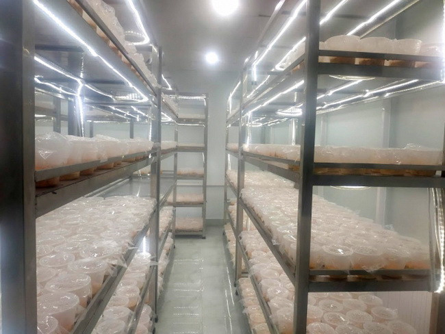 Quá trình thí nghiệm từ sinh hóa, lý hóa, y sinh rất nghiêm ngặt tại khu nuôi trồng Đông trùng hạ thảo tại ĐH Thủ Dầu Một. Quá trình thí nghiệm từ sinh hóa, lý hóa, y sinh rất nghiêm ngặt tại khu nuôi trồng Đông trùng hạ thảo tại ĐH Thủ Dầu Một.