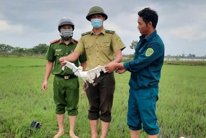 Lực lượng chức năng tháo gỡ, tiêu hủy bẫy chim và giải cứu, thả chim trời về với tự nhiên.