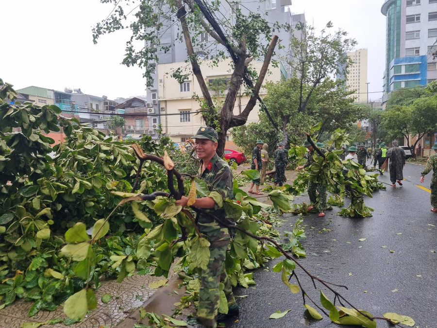 Dọn dẹp cây xanh bị ngã đổ do bão. Dọn dẹp cây xanh bị ngã đổ do bão.