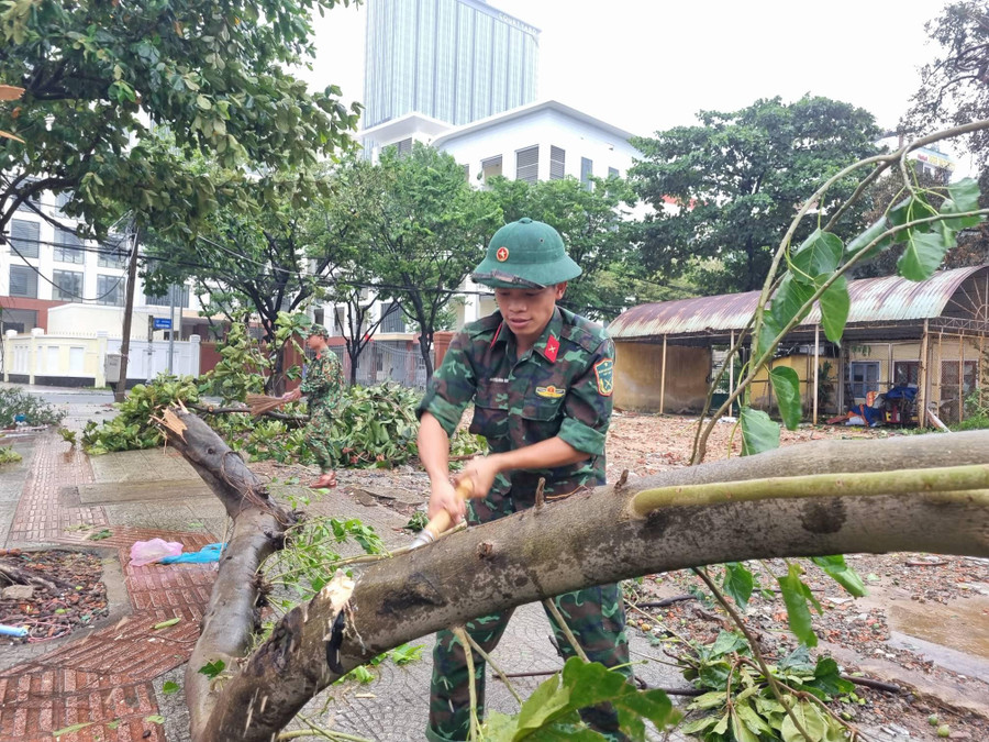 Chặt cây bị ngã đổ. Chặt cây bị ngã đổ.