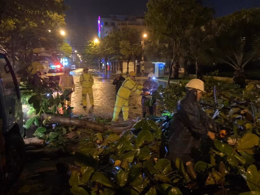 Lực lượng CSGT hỗ trợ nhân viên cây xanh dọn dẹp những cây bị ngã đổ do bão.