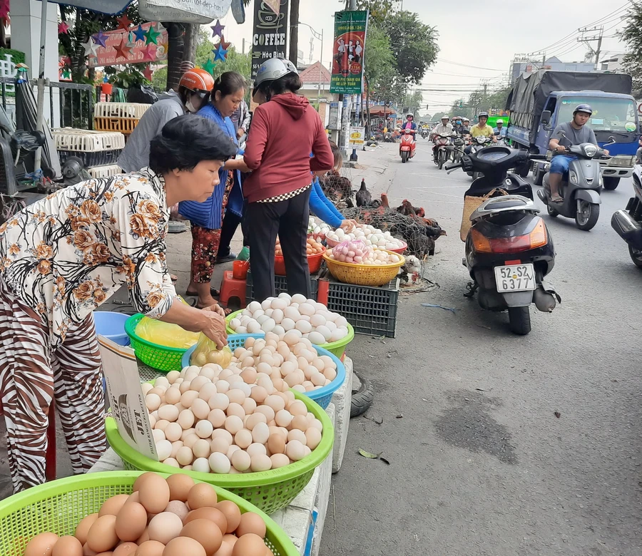 TP.HCM chỉ đạo khẩn: Nói không với kinh doanh gia cầm sống trái quy định