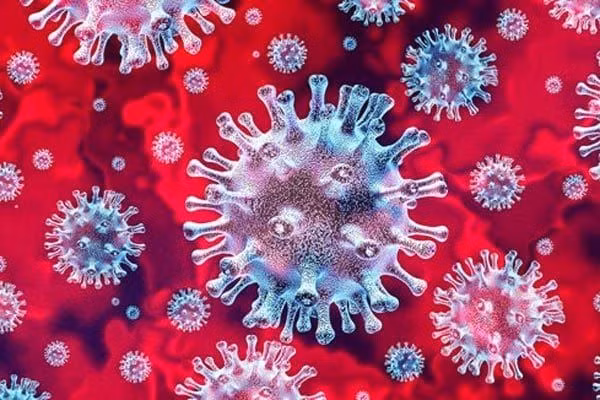 Kết quả giải trình tự gene cho thấy BN4514 nhiễm SARS-CoV-2 biến chủng Ấn Độ B.1.617.2. (Ảnh: HCDC)