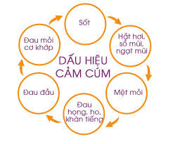 Các dấu hiệu bệnh cúm. Các dấu hiệu bệnh cúm.
