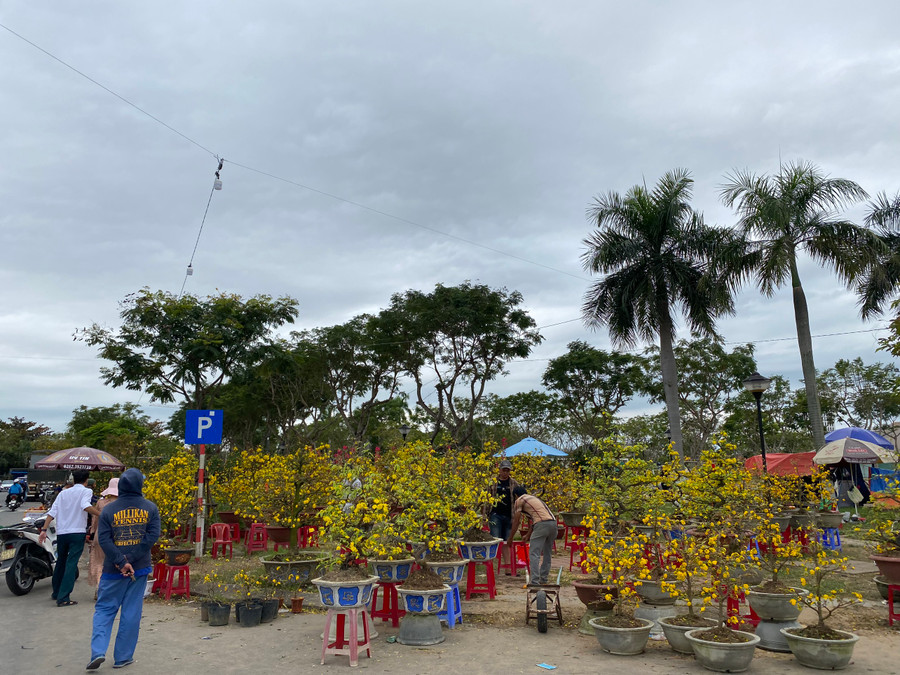 Lượng người mua mai bắt đầu thưa dần. Lượng người mua mai bắt đầu thưa dần.