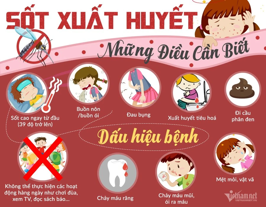 Các dấu hiệu sốt xuất huyết cần phải nhập viện ngay. Ảnh minh họa. 