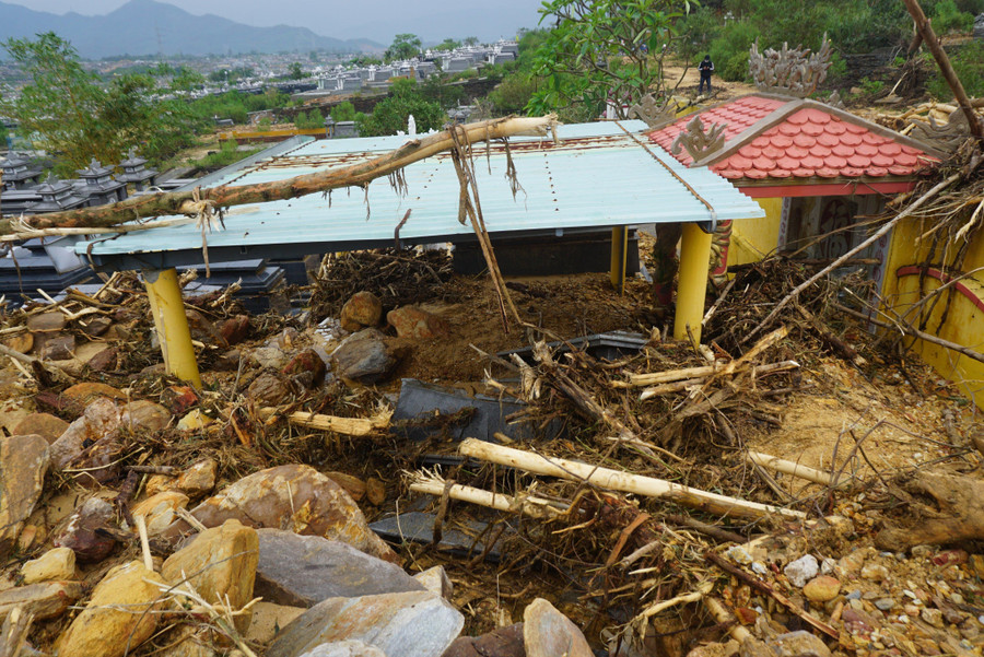 Lượng cây cối, đất đá vùi lấp các ngôi mộ ở nghĩa trang Hòa Sơn.