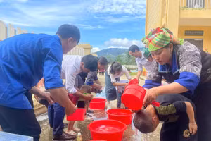 Các hoạt động chuẩn bị năm học mới diễn ra khẩn trương và háo hức.