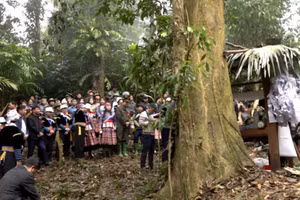 Lễ cúng rừng Nà Hẩu vừa được công nhận là Di sản văn hóa phi vật thể cấp quốc gia.