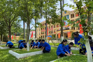 Học sinh Trường Phổ thông Dân tộc Nội trú THPT Tuyên Quang tham gia dọn dẹp vệ sinh, bảo vệ môi trường.