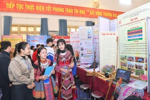 Các em học sinh hào hứng tham gia cuộc thi.