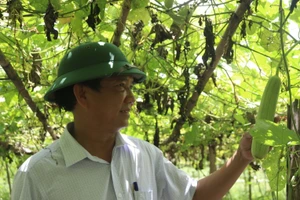 Hướng đi giúp người dân thoát nghèo bền vững, an toàn cho môi trường.