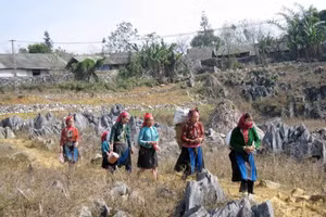 Cao nguyên đá Đồng Văn mang đậm nét văn hóa.