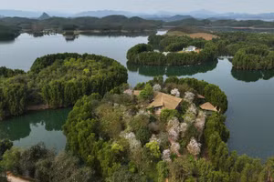 Hoa ban bung nở tại Làng An Binh. (Ảnh: Thanh Miền).