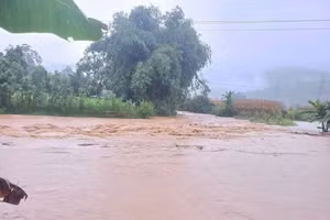 Khu vực thi thể người phụ nữ được lực lượng chức năng tìm thấy.