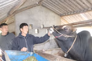 Thay đổi tư duy, người dân đang từng bước chuyển mình.