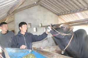 Thay đổi tư duy, người dân đang từng bước chuyển mình.