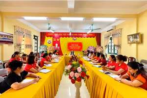 Công bố tạm đình chỉ Hiệu trưởng Trường Mầm non Đội Cấn.