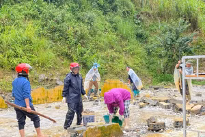 Các giáo viên tích cực lao động bất chấp thời tiết mưa gió.