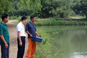 Anh Nguyễn Tiến Dũng (thứ 3 bên phải) bên hơn 3.600m2 ao thả cá.