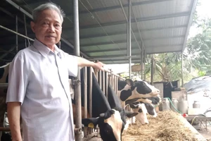 Ông Chu Văn Sâm bên trang trại bò sữa của gia đình. (Ảnh: Thiên Long)