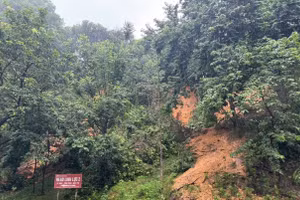 Mưa lớn khiến Tuyên Quang ngập úng và sạt lở đất.