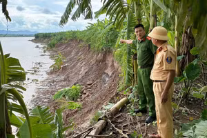 Sạt lở trên tuyến sông Hồng tại Phú Thọ chỉ cách nhà dân vài chục mét.