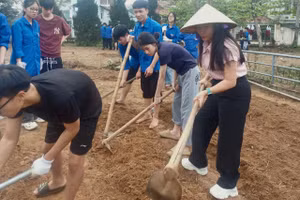 Cô và trò trường THPT Nguyễn Huệ sôi nổi với những hoạt động thực tế.