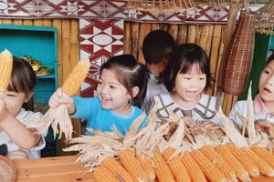 Hoạt động trải nghiệm cho trẻ mầm non tại các đơn vị trường học trên địa bàn tỉnh Yên Bái đa dạng và ý nghĩa.