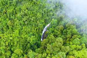 Rừng nguyên sinh rộng lớn có diện tích hơn 16.000 ha.