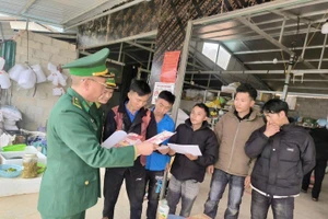 Lực lượng thanh niên và bộ đội Biên phòng tuyên truyền bầu cử tới các hộ dân khu vực biên giới.