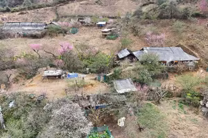 Lùng Cúng mang nét nguyên sơ, bình yên.