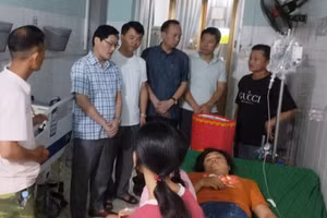 Gia đình 5 người bị ngộ độc sau khi ăn phải nấm mọc dại.