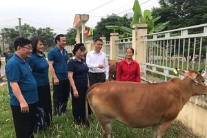 Hỗ trợ sinh kế cho người yếu thế phát triển kinh tế. (Ảnh: Minh Thủy)