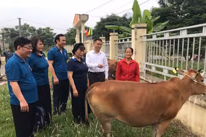 Hỗ trợ sinh kế cho người yếu thế phát triển kinh tế. (Ảnh: Minh Thủy)