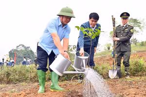 Bí thư Tỉnh ủy Tuyên Quang Hầu A Lềnh tham gia trồng cây tại Lễ phát động. (Ảnh: Thanh Phúc)