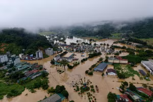 Ảnh hưởng bão số 10 (Bualoi) Tuyên Quang chịu ảnh hưởng nặng nề.