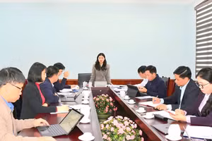 Bà Vương Ngọc Hà, Phó Chủ tịch UBND tỉnh Tuyên Quang phát biểu tại cuộc họp. (Ảnh: Tố Mai)