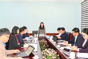 Bà Vương Ngọc Hà, Phó Chủ tịch UBND tỉnh Tuyên Quang phát biểu tại cuộc họp. (Ảnh: Tố Mai)